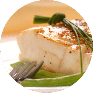 Bacalao