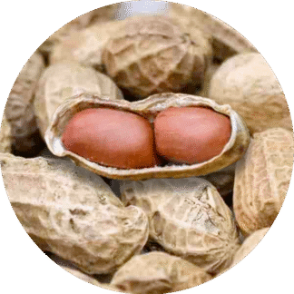 Frutos secos